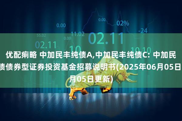 优配痢略 中加民丰纯债A,中加民丰纯债C: 中加民丰纯债债券型证券投资基金招募说明书(2025年06月05日更新)