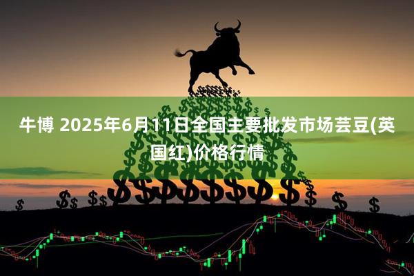牛博 2025年6月11日全国主要批发市场芸豆(英国红)价格行情