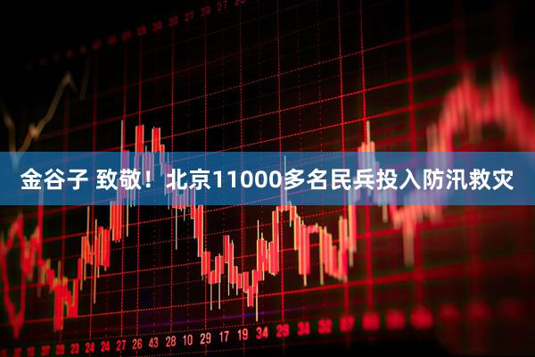 金谷子 致敬！北京11000多名民兵投入防汛救灾