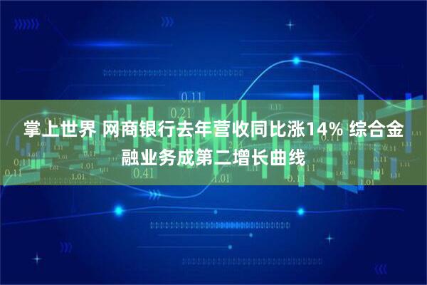 掌上世界 网商银行去年营收同比涨14% 综合金融业务成第二增长曲线