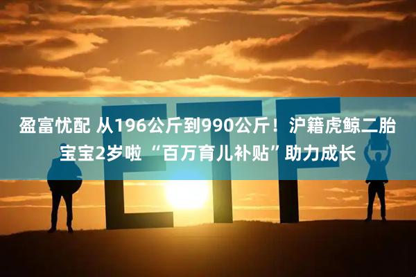 盈富忧配 从196公斤到990公斤！沪籍虎鲸二胎宝宝2岁啦 “百万育儿补贴”助力成长
